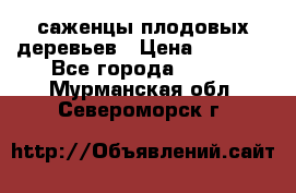 саженцы плодовых деревьев › Цена ­ 6 080 - Все города  »    . Мурманская обл.,Североморск г.